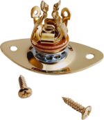 Indented Oval Jack Plate Gold US Spec - Image 3